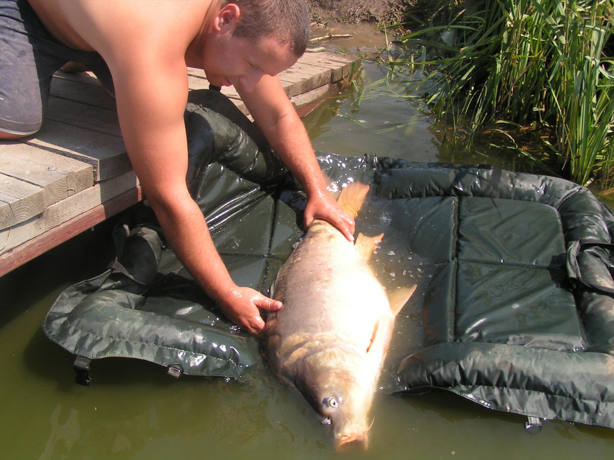 Lates 9-10.07.2012 - pict0921.JPG